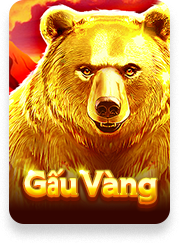 Gấu Vàng